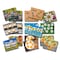 Yellow Door Honey Bee Early Number Cards, Set of 16 1095 - alternate 1